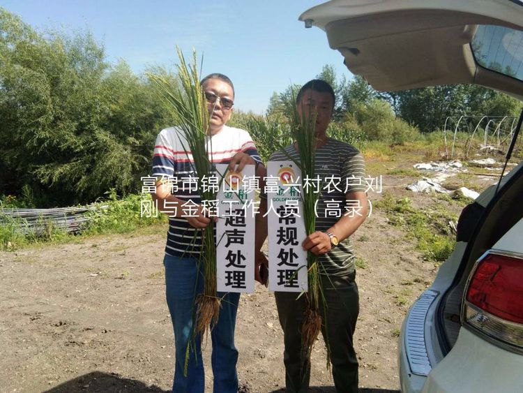黑龍江雙鴨山市與佳木斯市的超聲波玉米、水稻種植田調查